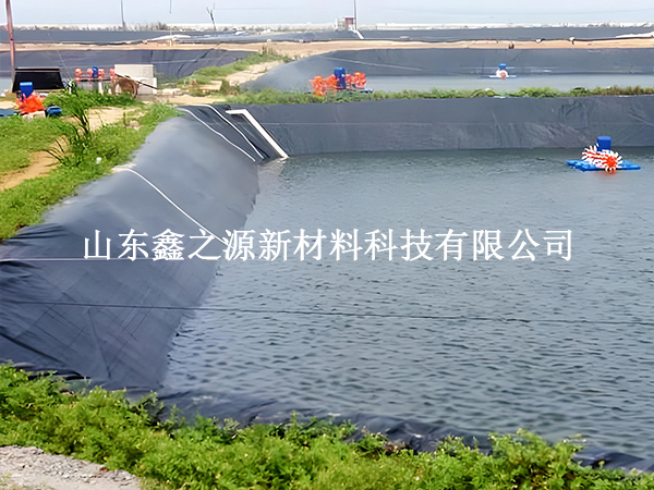 魚塘防滲膜存放技巧：輕松保鮮，以備不時之需